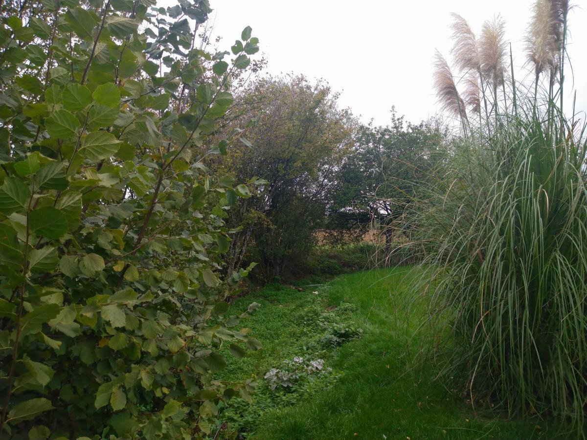 Gite De La Basse Roche Souge  Buitenkant foto